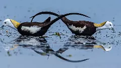 తెలంగాణను తాకిన రుతుపవనాలు.. పరవశించిన ప్రజలు