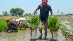 కనీస మద్దతు ధర పెంపు ..ఏ పంటకు ఎంత పెంచారు?