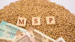 మద్దతు ధరలు రైతులను నిజంగా ఆదుకుంటున్నాయా?
