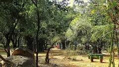 తెలంగాణలో 40 ప్రాంతాల్లో పర్యావరణ పర్యాటక రంగాభివృద్ధి