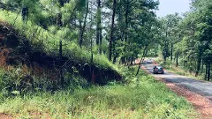 ‘ఓహో అస్సాం.. నీ అందాలకు సలామ్’