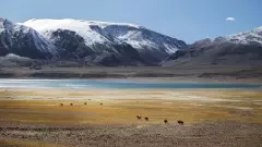 నదిలో మునిగిన టీ 72, ఐదుగురు జవాన్లు..