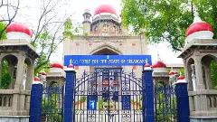 పెట్రేగిపోతున్న వీధికుక్కలు..నియంత్రణ చర్యలేవన్న హైకోర్టు