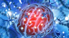 కేరళను భయపెడుతున్న బ్రెయిన్ ఈటింగ్ అమీబియా..