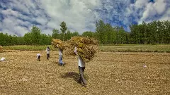 కర్ణాటకలో వ్యవసాయ సంక్షోభం..