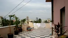 డాబా! (Sunday Poem)