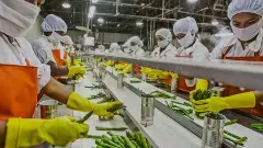 మారనున్న ఫుడ్‌ ప్రాసెసింగ్‌ ఇండస్ట్రీస్‌ పాలసీ