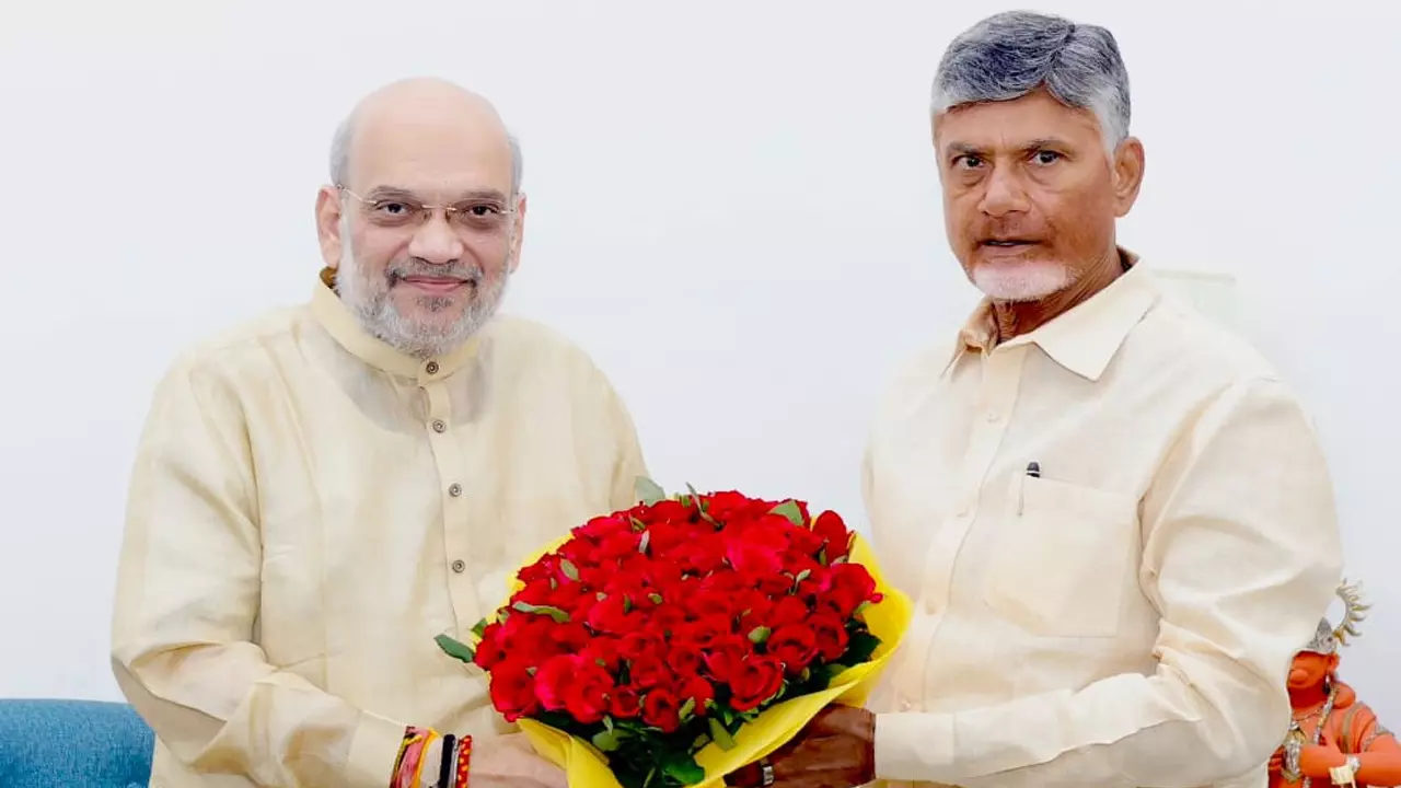 అదనపు నిధులు తీసుకురావడంలో చంద్రబాబు సక్సెస్ అవుతారా?