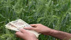 రైతు రుణమాఫీ సబబే, మోదీ కూడా ఈ భారం మోయాలి