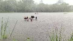 ఏర్లు అడవులు కొండలు అడ్డొచ్చినా ఆగని ములుగు డాక్టర్లు