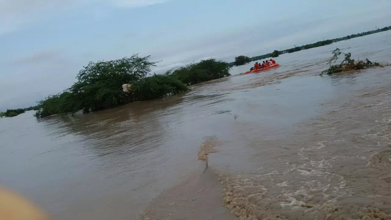 ఆంధ్రను అల్లకల్లోలం చేస్తున్న వర్షాలు.. స్పందించిన సర్కార్