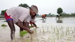 రైతుకి ఆలస్యమవుతోన్న భరోసా