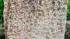 తెలంగాణ  పల్లెలో దొరికిన నిజాం శాసనం