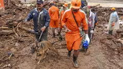 వయనాడ్: చలియార్ నది కి 40 కిలోమీటర్ల పొడవునా వెతుకులాటలు..