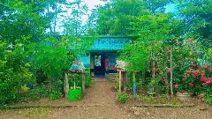 మన్ననలు పొందుతున్న మునగ ప్రయోగం