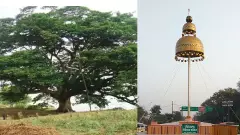 ఆంధ్రా సినిమా చెట్టు కూలింది, బాలివుడ్ బరేలీ జుంకా నిలబడింది