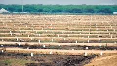 అమరావతిలో జోన్స్‌ గోలేమిటి?