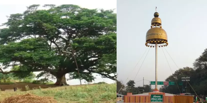 ఆంధ్రా సినిమా చెట్టు కూలింది, బాలివుడ్ బరేలీ జుంకా నిలబడింది