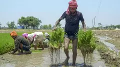 రుణమాఫీ జరగకపోవటానికి కారణాలు ఇవే