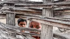 అడవమ్మ   ఎందుకో   చిన్నబోయి కూచుంది