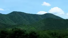 ప్లాస్టిక్‌ ఫ్రీ జోన్‌గా నల్లమల