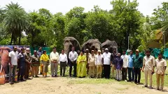 జూపార్కులో ఏనుగులకు జంబో విందు, ఎందుకంటే...