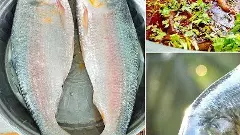 అడ్రస్ మార్చేసిన పులస..గోదావరి జనాలకు జ్ఞాపకంగా మిగిలిపోవాల్సిందేనా ?