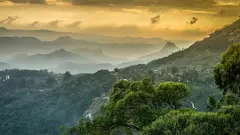 పశ్చిమ కనుమలను కాపాడేందుకు సిద్ధమైన యోధులు.. వారు ఎవరూ?