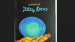 ఎక్కడి నుంచి ఊడిపడిందబ్బా ఈ ‘నెమ్మినీలం’