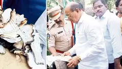 ఫైల్స్‌ దగ్ధాల వెనుక అసలు నిజాలు ఇవేనా?