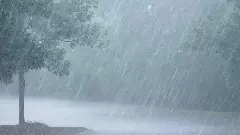 ఏపీకి ఐఎండీ వార్నింగ్.. పలు జిల్లాల్లో వర్షాలు