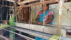 తగ్గుతున్న మగ్గాలు.. తీరని నేతన్న కష్టాలు