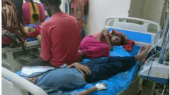 విష జ్వరాల తిరన్నాళ్ళు....