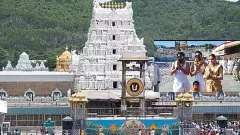 తిరుమల క్యూలో బంగారుబాబుల సందడి