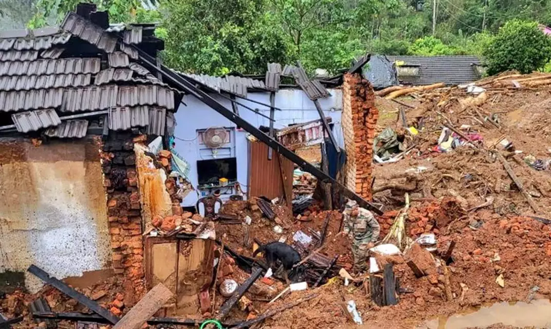 వాయనాడ్ ప్రాంతాలు అందుకోసం ఉపయోగపడవట.. ?