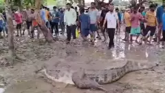 అధికారుల చెలగాటం.. వడోదర వాసులకు ప్రాణ సంకటం