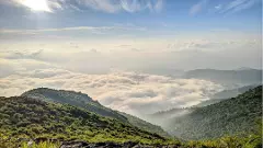 అరకు వెళ్లాలనుకుంటున్నారా.. అయితే ఇది తప్పక చదవండి