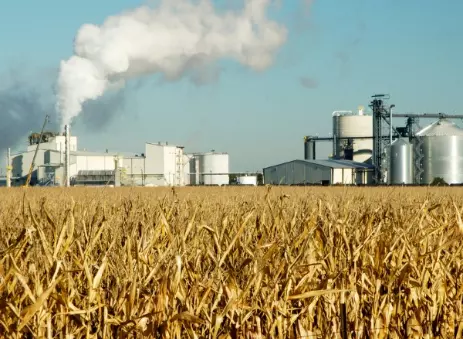 ఇథనాల్ ప్లాంట్స్ పై ఆడిట్ అవసరం