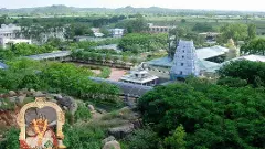 బాసర ఆలయానికి గోదావరి వరద ముప్పు