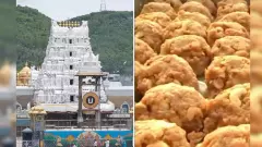 నెయ్యిలో కల్తీ ఉందన్న ఈవో.. ఆరోపణలను తోసిపుచ్చిన ఏఆర్ డైరీ