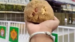 తిరుపతి లడ్డూ: సీఎంకి జై కొట్టిన టీటీడీ, బాబును చీల్చిచెండాడిన జగన్