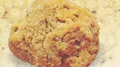 తిరుపతి లడ్డూ గొడవ: చంద్రబాబు వలలో జగన్ చిక్కినట్టేనా!