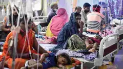 ఇంటికొకరు మంచం పట్టారు,రికార్డు స్థాయిలో డెంగీ కేసులు