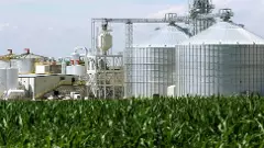 ప్రభుత్వాన్ని ప్రశ్నిస్తే షోకాజ్ నోటీసులు ఇస్తారా ?