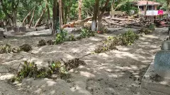 ఈ ద్వీపానికి వెలుగు ఎప్పుడు?