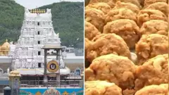 కల్తీ నెయ్యితో ఆ ముగ్గురూ రూ.250 కోట్లు దోచుకున్నారా?