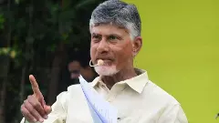 బాబు జమిలీ ఎన్నికలకు ఎందుకు జైకొడుతున్నారు?