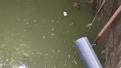 సంజీవ రావుపేటలో  కలుషిత నీరు తాగి ఇద్దరు మృతి, 50 మందికి అస్వస్థత