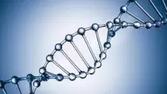 ఆర్యులెవరు? మూలవాసులెవరు? అంతా ఒక్కరేనా: తేల్చాలనుకుంటున్న కేంద్రం