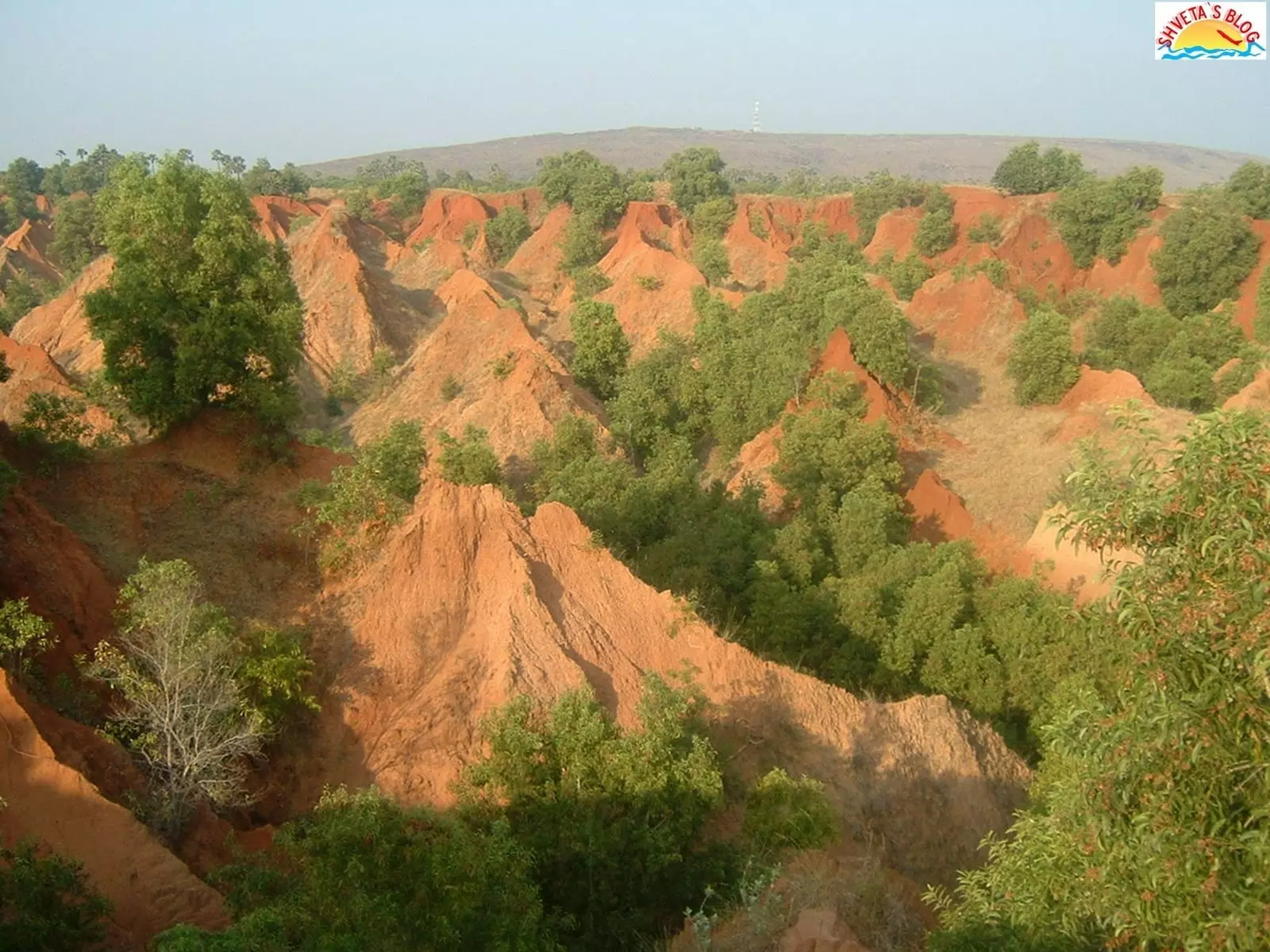 ‘విశాఖ ఎర్రమట్టి దిబ్బలను జియోపార్క్ లుగా గుర్తించాలి’